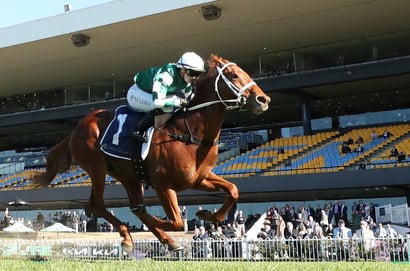 Big Bets Results - 04/07