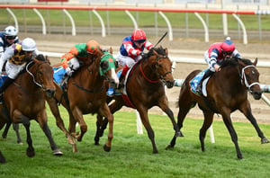 Big Bets Results - 06/12