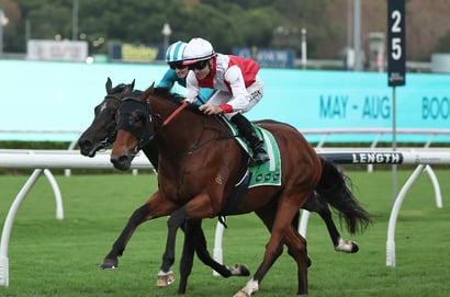 Big Bets Results - 26.04.2025