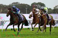 Big Bets Results - August 2