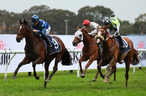 Big Bets Results - August 2