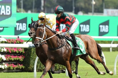 Big Bets Results - Feb 15