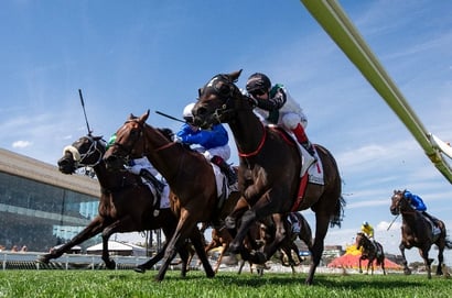 Big Bets Results - Feb 22