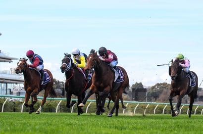 Big Bets Results from July 19