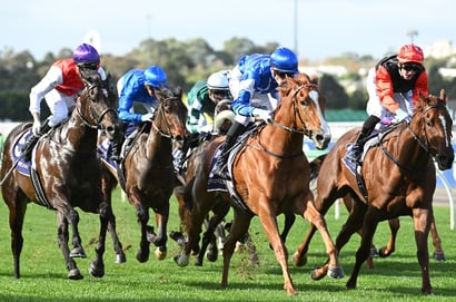 Big Bets Results - June 7