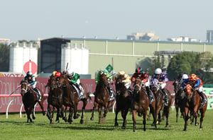 Big Bets Results - March 15