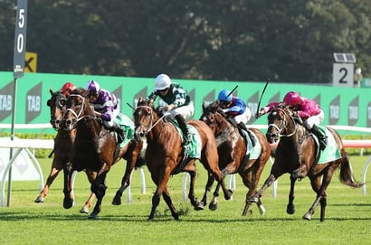 Big Bets Results from 01.03.2025