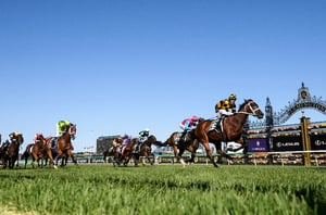 Big Bets Results from 08.03.2025
