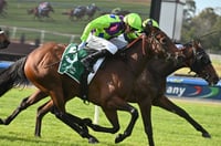 Big Bets Results from 14.06.2025