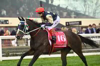 Big Bets for 03.05.2025