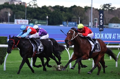 Big Saturday Bets for July 4