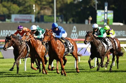 Big Bets for 05.09.2026