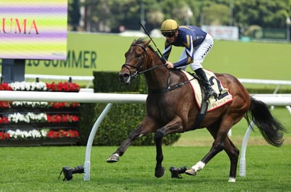 Big Bets for 06.06.2026