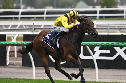 Big Bets for 06.09.2025