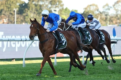 Big Bets for 07.02.2026