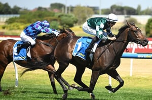 Big Bets for 08.03.2025