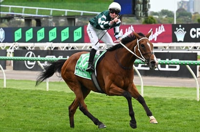 Big Bets for 08.11.2025