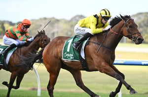 Big Bets for 11.10.2025
