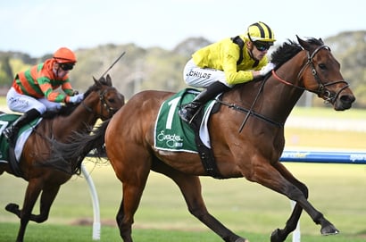 Big Bets for 11.10.2025