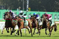 Big Bets for 12.04.2025
