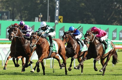Big Bets for 12.04.2025