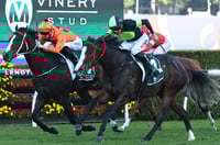 Big Bets for 12.07.2025