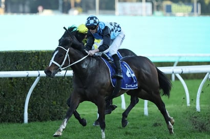 Big Bets for 13.09.2025