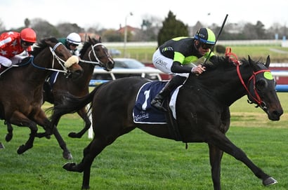 Big Bets for 13.12.2025