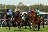Big Bets for 14.06.2025
