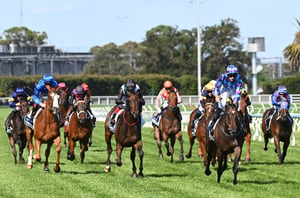 Big Bets for 15.03.2025