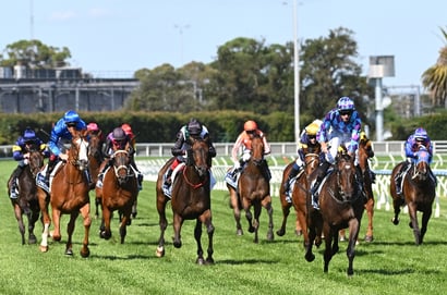 Big Bets for 15.03.2025