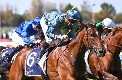 Big Bets for 16.08.2025