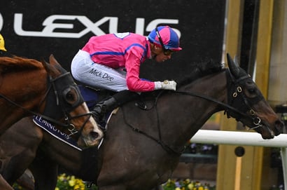 Big Bets for 17.05.2025
