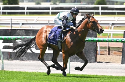 Big Bets for 18.07.2026