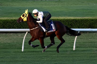 Big Bets for 18.10.2025