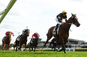 Big Bets for 19.04.2025