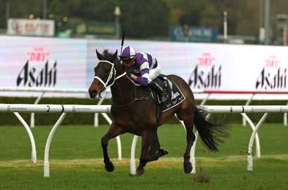 Big Bets for 19.09.2026