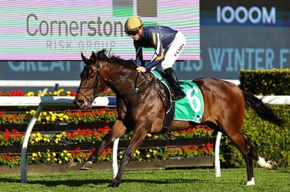 Big Bets for 20.06.2026