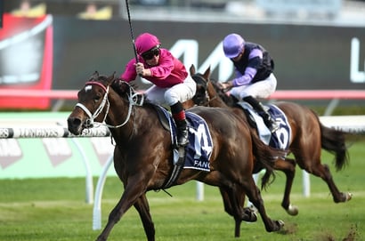 Big Bets for 20.09.2025
