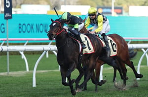 Big Bets for 20.12.2025