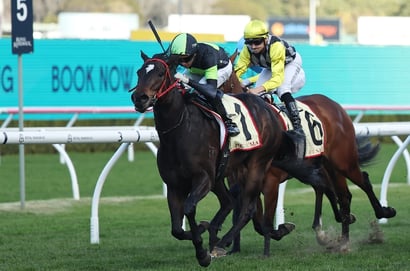 Big Bets for 20.12.2025