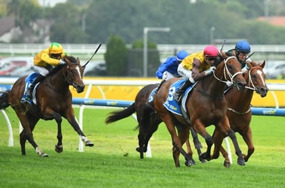 Big Bets for 22.02.2025