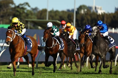 Big Bets for 22.03.2025