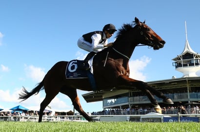 Big Bets for 22.11.2025
