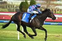 Big Bets for 24.05.2025