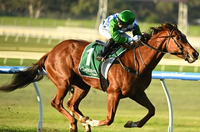 Big Bets for 25.07.2026