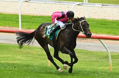 Big Bets for 26.04.2025