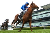 Big Bets for 26.07.2025