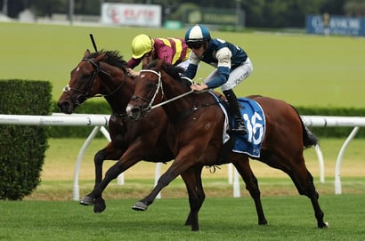 Big Bets for 27.06.2026