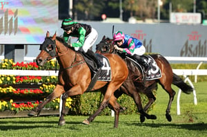 Big Bets for 28.06.2025
